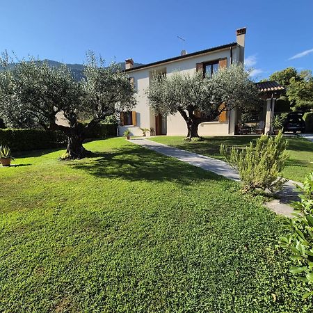Maryhouse Villa Borso del Grappa Dış mekan fotoğraf